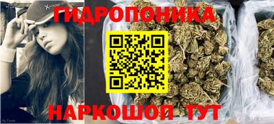 спиды Будённовск