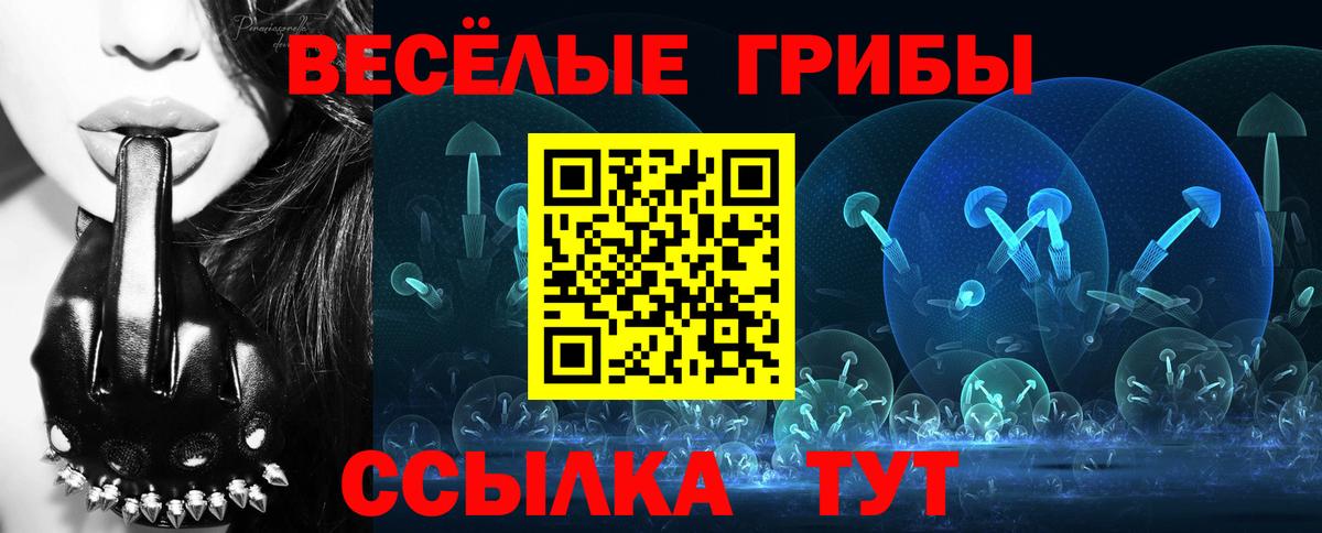 магазин продажи   Галлюциногенные грибы Psilocybe  Вход с VPN  Сафоново  Псилоцибиновые грибы Psilocybine cubensis 